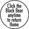 Black Bear Film Festival Home
